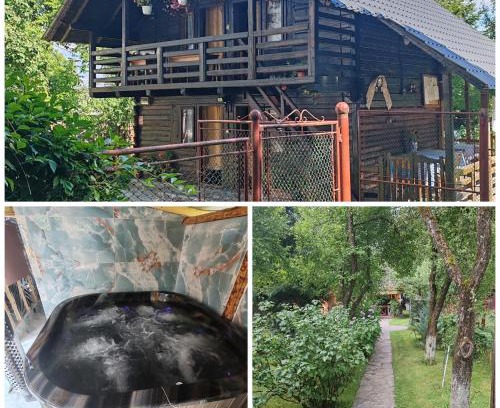 Ocna Sugatag House | Delia