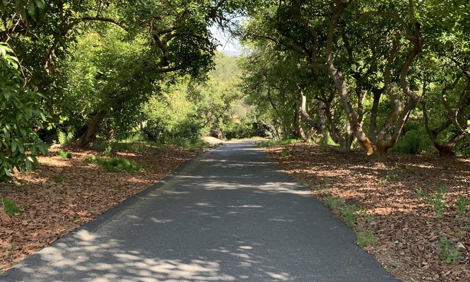 Vista Cottage | Delightful newly renovated 2 bedroom nestled within an avocado grove.