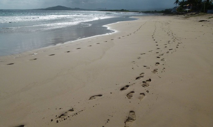 Puerto Villamil Resort | Deluxe Suite On The Beach In Puerto Villamil, Isla Isabela (Read Ad First)