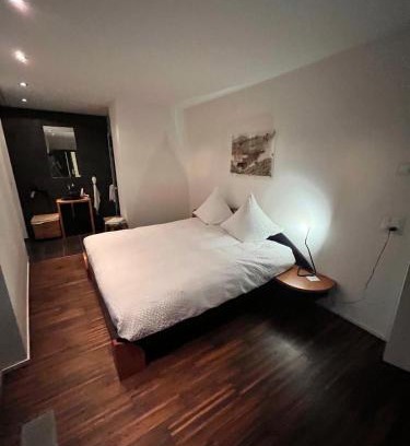 Teufen House | Deluxe Zimmer in Privatwohnung an zentraler Lage