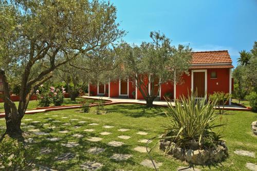 Minia Apartment | Dendrolivano