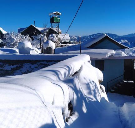 Shimla House | Deodar Homestay Dakbangla-kufri