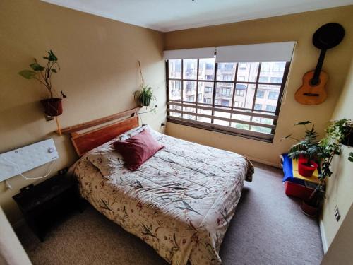 Concepcion Apartment | Departamento Valle Escondido