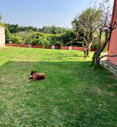 Sant Miquel de Fluvia House | Descanso del GUERRERO