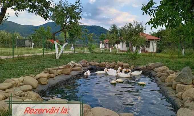 Viisoara House | Desculti prin iarba- la 6,6 km de centrul Piatra Neamt