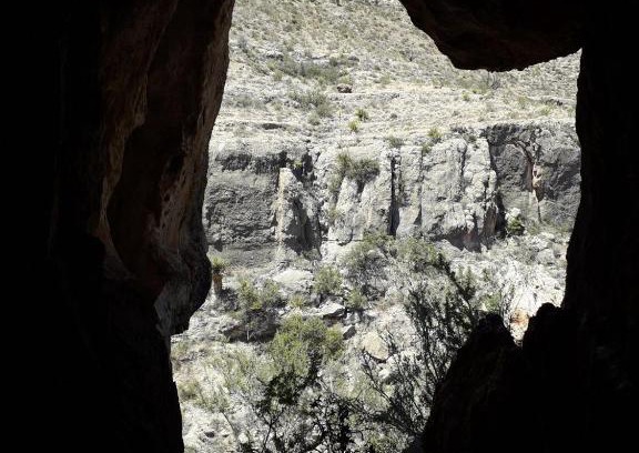 Van Horn Other | Desert Gardens Oasis Campground