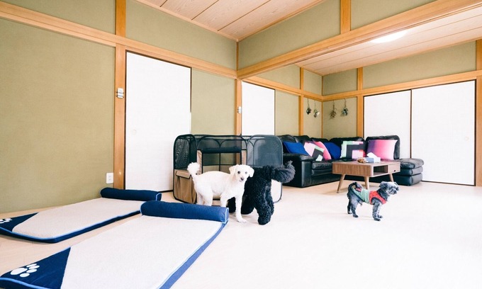 Kujukuri House | Detached private guest house with dog run nonsmo/Sambu-gun Chiba