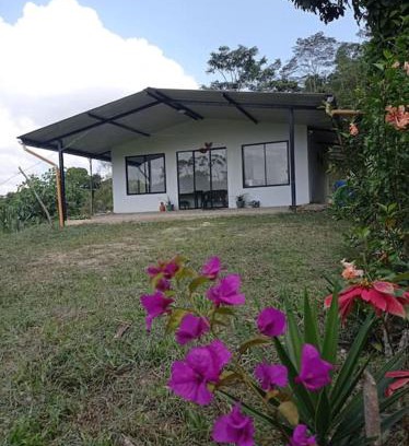Supata House | dgc