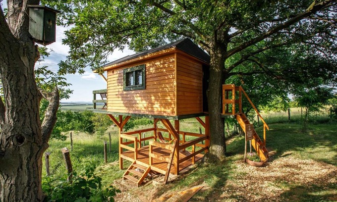Lovasbereny Cabin | Dióliget - Zöld Fészek Lombház