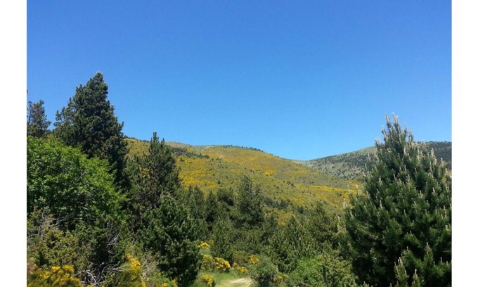 Puigcerda Bed & Breakfast | Di Verena - Two people (double bed) and private bathroom nr 33