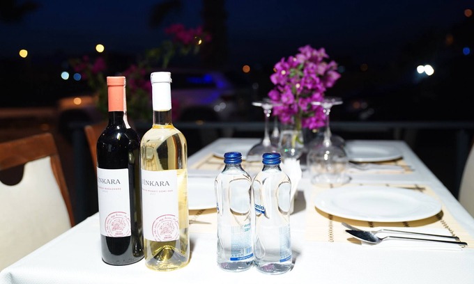 Efeler Bed & Breakfast | Didim Palace Hotel