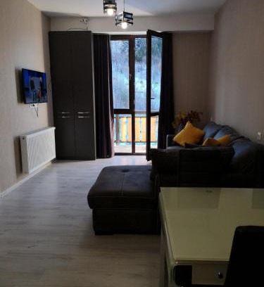 Bakuriani Apartment | Didveli Residence D44