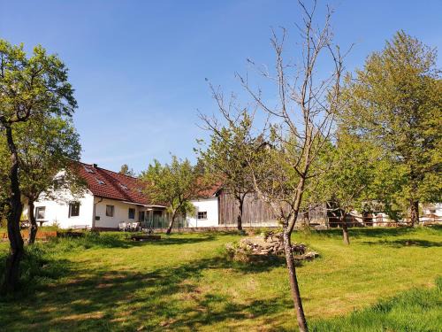 Sankt Martin House | Die Alm in Schöllbüchl, Privatzimmer
