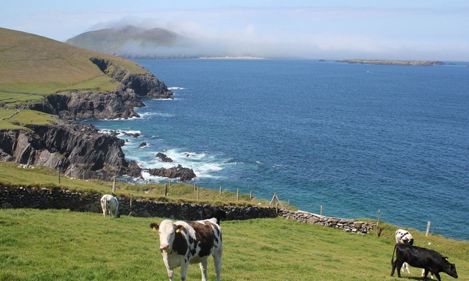 Dingle House | Dingle Courtyard Cottages (3 Bed - Sleeps 6)