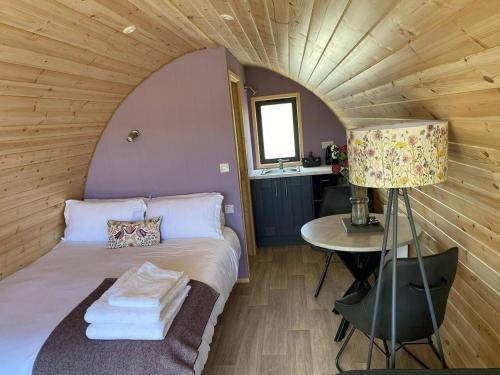 Dingle Ski Chalet | Dingle Wild - Luxury Pod