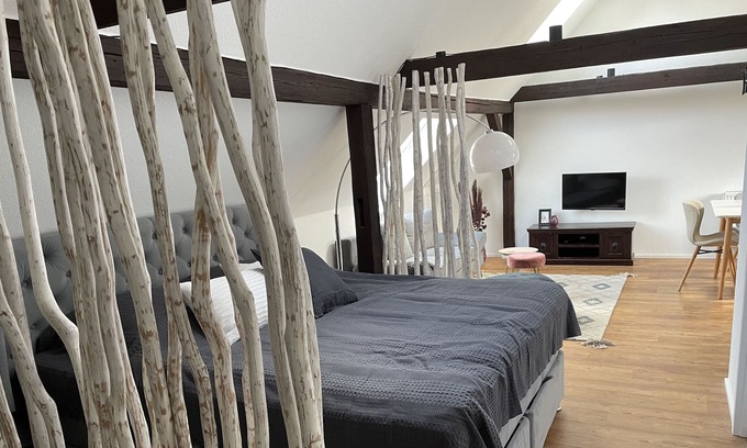 Eisenach Apartment | Discovair Eisenach?apartment Emma?schwimmbad-nah mit Netflix