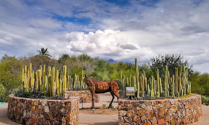 Tucson Apartment | Discover the Beauty of Tucson! Free Breakfast, Pet-friendly, Outdoor Pool!