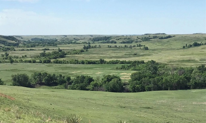 Firesteel House | DIY Family run Farm ranch hunts. Pheasants and Prariedog’s.