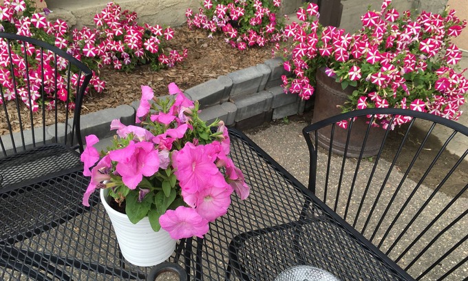 Cold Lake Hotel | Dockside Inn