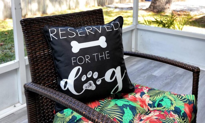 South Pinellas Community Council House | Dog-Friendly 1/1 Place. 5 Mins to the Beach!