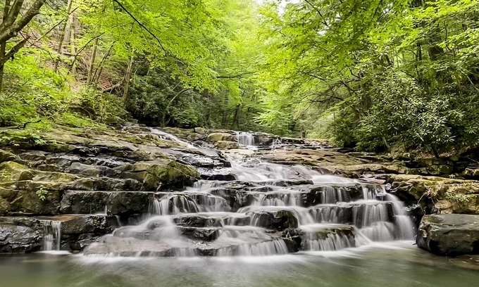 Bloomington Cabin | Dog-friendly cabin with direct access to public game lands, full kitchen, & W/D