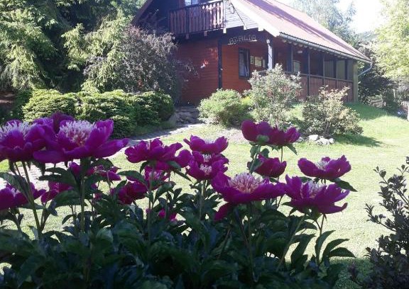 Uscie Gorlickie House | Dom Gościnny AZALIA