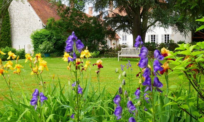 Adon House | Domaine d'Adon * - Charming renovated house 45m² in Adon (45) sleeps 2