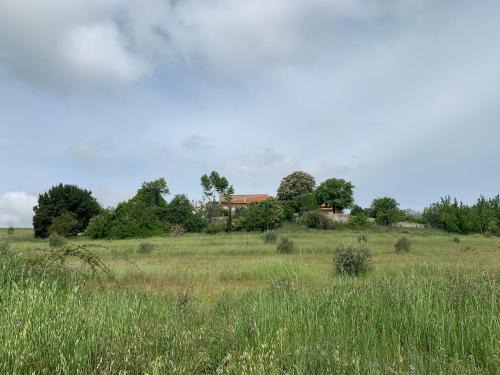 Roumoules Apartment | Domaine le Commandaire