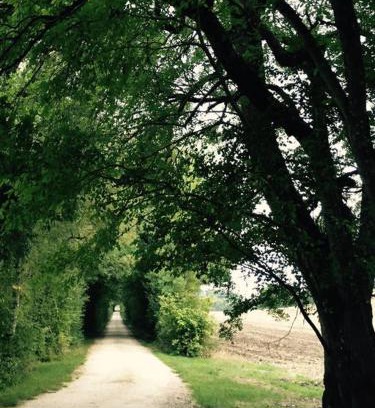 Le Cler House | Domaine Le Rolant