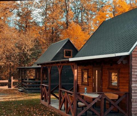 Milkow Ski Chalet | Domek pod Śnieżką 2