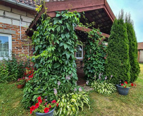 Piecki House | Domek Pod Mazurskim Lasem