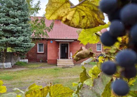 Milicz House | Domek przy Maja