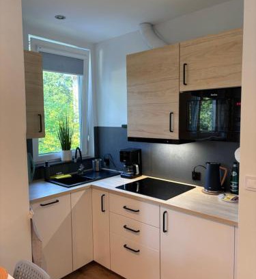 Krynica Morska Apartment | Domek w Krynicy Morskiej