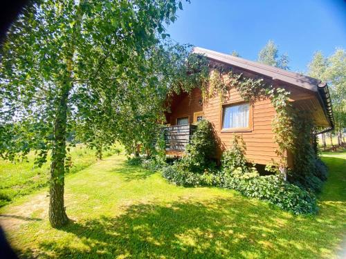 Myczkow House | Domki Letniskowe Widokówka Myczków