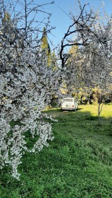 Telti Bed & Breakfast | Domo Mia