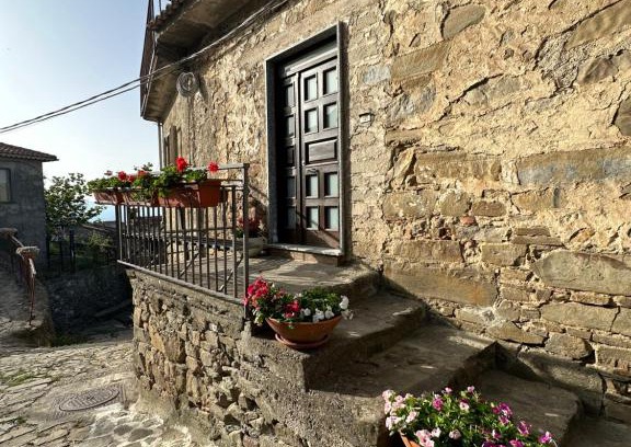 Lustra House | Domus Petra