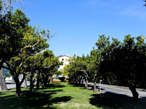 Capua Bed & Breakfast | DON PEPPE ROOMS : Villaggio Green