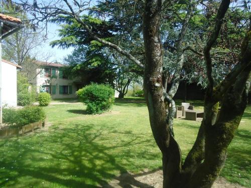 Vallet Hotel | Don Quichotte