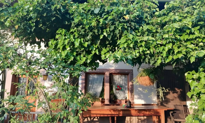 Schuttertal House | Double Room Apple Blossom