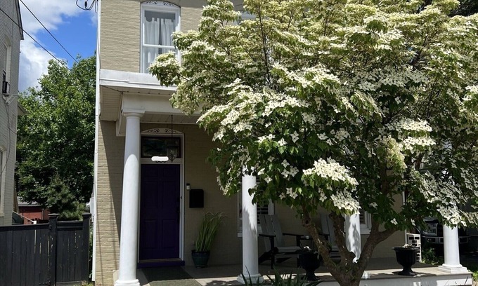 Downtown House | Downtown Frederick Charm w/Modern Comfort - Walk to Market St! Rare SF w/Yard