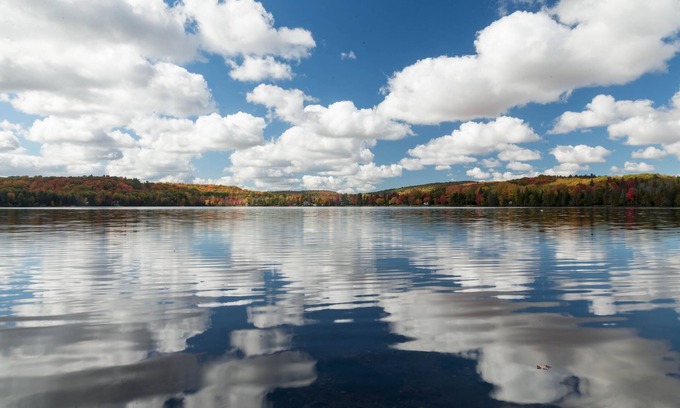 La Peche Cottage | Dragon Fly Bay /La Baie des Libellules