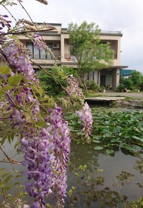 Sanxing House | Dragonfly B&B