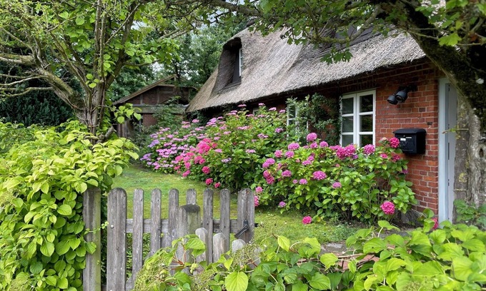 Brarupholz House | Dream vacation in a stylish thatched-roof house in a rural setting