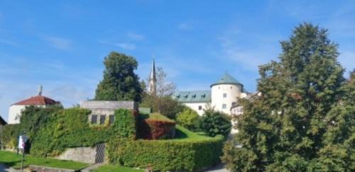 Furstenstein Apartment | Dreiburgen Ferienwohnung Schlossblick
