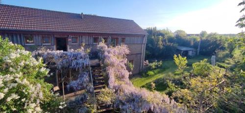 Chorin Apartment | Dreigärten Brodowin