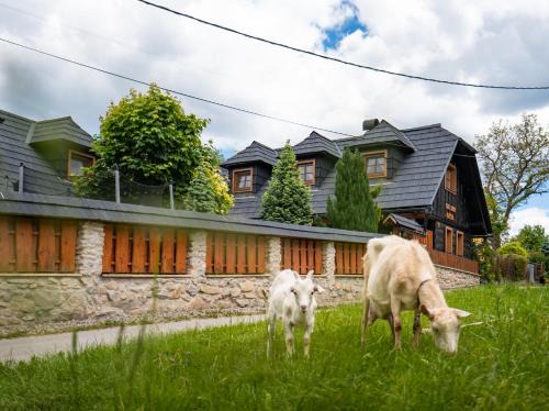 Durcina House | Drevenička v Ďurčinej - Anna