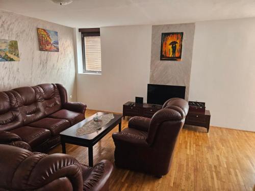 Pluzine Apartment | DSM & Victory