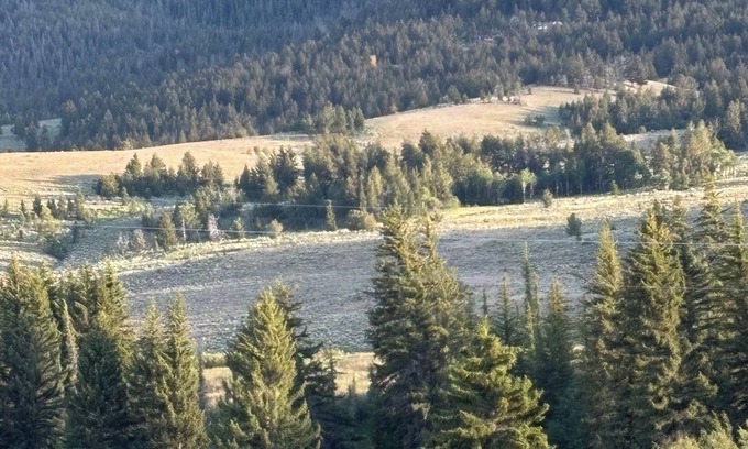 Dubois House | Dubois/Wind River Paradise Cabin