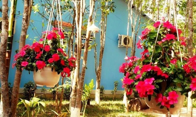 Cua Lap House | Duc Anh Garden Homestay