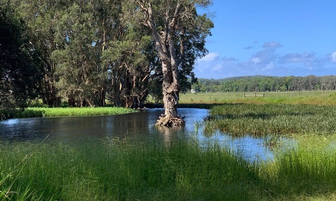 Raleigh Apartment | Duck Heaven in Bellingen Shire